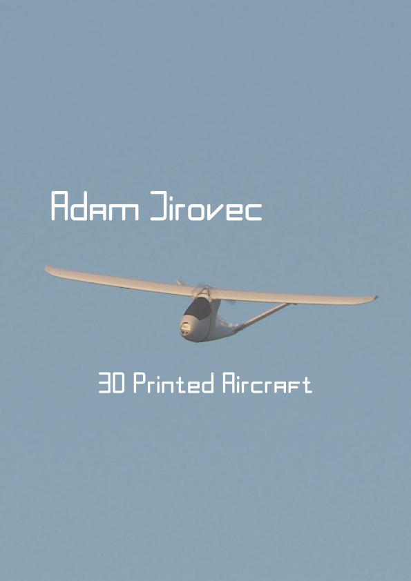 3D Printed Aircraft 1