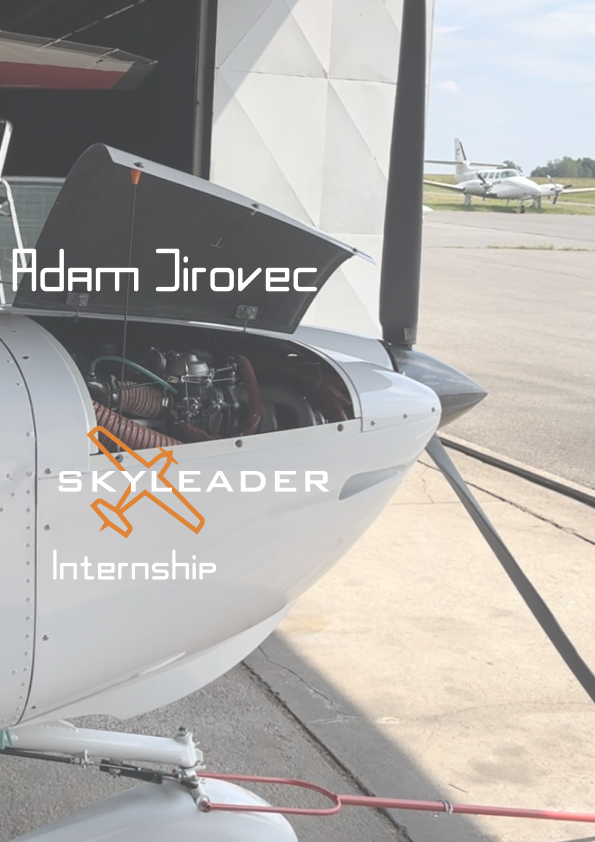 Skyleader Internship 1